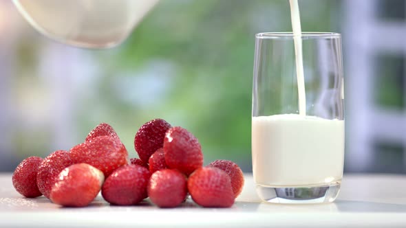 Stream of Milk Poured Into Glass Making Healthy Summer Breakfast with Organic Strawberries