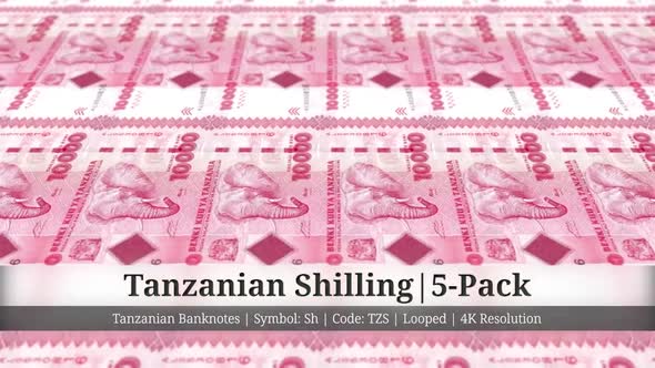 Tanzanian Shilling | Tanzania Currency - 5 Pack | 4K Resolution | Looped