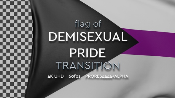 Flag of Demisexual pride Transition | UHD | 60fps