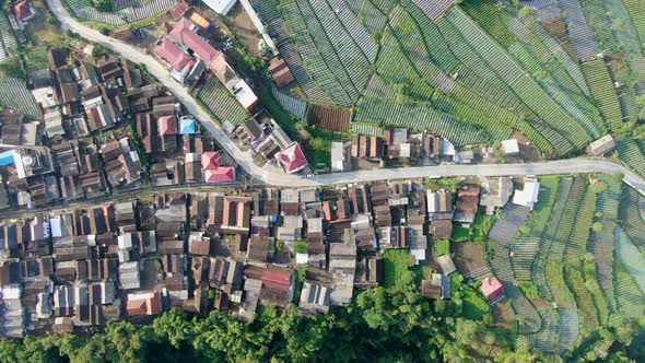 Rural landscape of Wonolelo village and terraced farmland, Indonesia, aerial top down