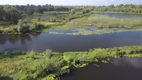Aerial Summer View To Desna River and Forest