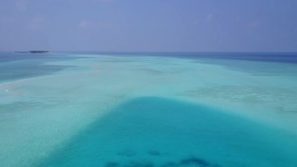 Aerial drone landscape of tropical island beach wildlife by clear water and sand background