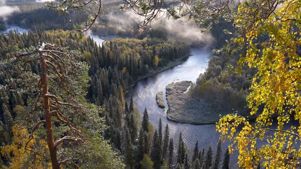 Oulanka National Park, Finland. River and Evergreen Forest with Clouds During Sunrise in Autumn.