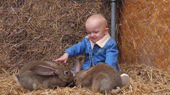 Happy Baby in Denim Jacket Playing with Three Rabbits While They're Eating. Children and Animals