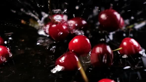 Cherries Fall on the Water on a Black Background and Bounce Off the Surface, Slow Motion