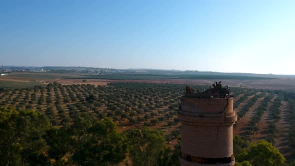 Panoramic aerial view of the top of a tower with pigeons (Columba livia) on it and a flat, clear hor