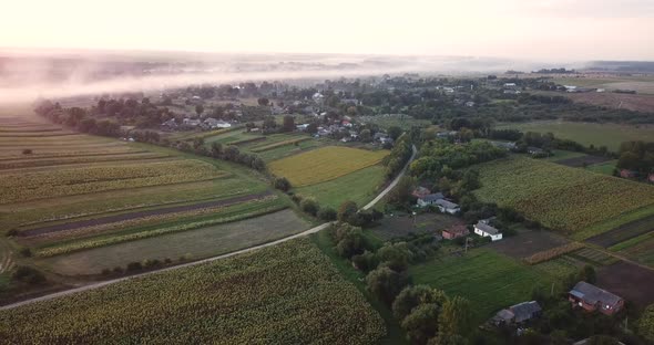 Fog Over the Countryside