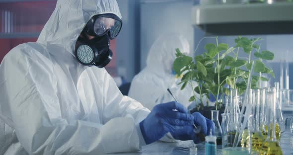 Scientists Working in Laboratory