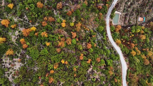 Autumn Forest Aerial View 4 K Turkey Alanya