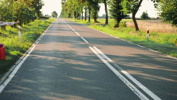 Young Woman Hitchhiking on Countryside Road.