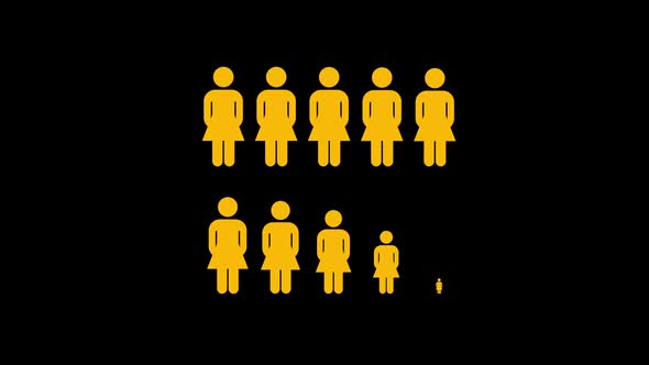 Infographic People Woman Corporate Gender Distribution Statistics