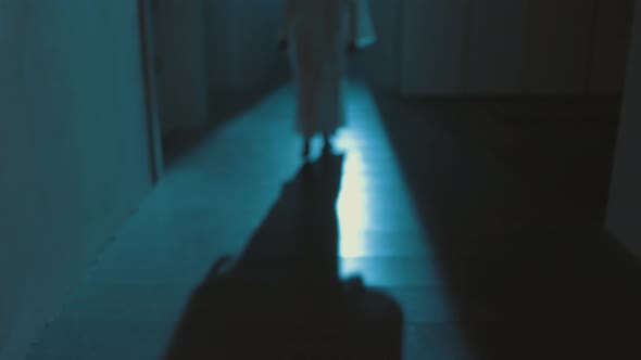 Ghost Girl In White Nightgown With Loose Hair In A Scary House