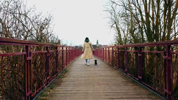 Walk across the bridge. Cinematic bridge. A girl and a dog walk across the bridge