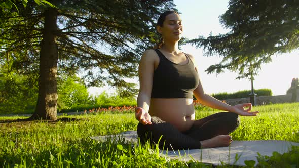 Maternity and Pregnancy Concept. Young Pregnant Woman Sitting on the Grass Doing Fitness or Yoga