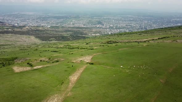 Top Aerial Landscape Soft Moving Flight Over the Green Field