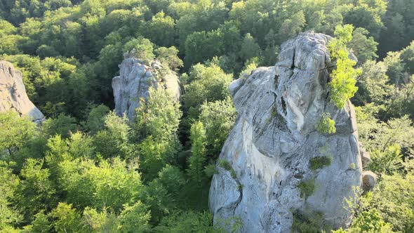 Aerial View of Bright Landscape with Green Forest Trees and Big Rocky Boulders Between Dense Woods