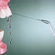 Water Flosser Cleaning Teeth on Green - VideoHive Item for Sale