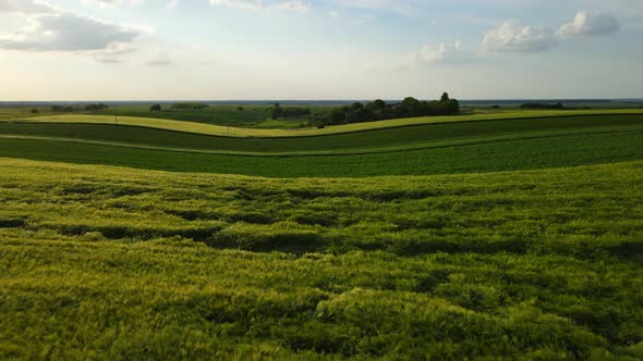 Aerial Shot Of The Countryside Over The Grain Fields Of Ukraine. Agriculture