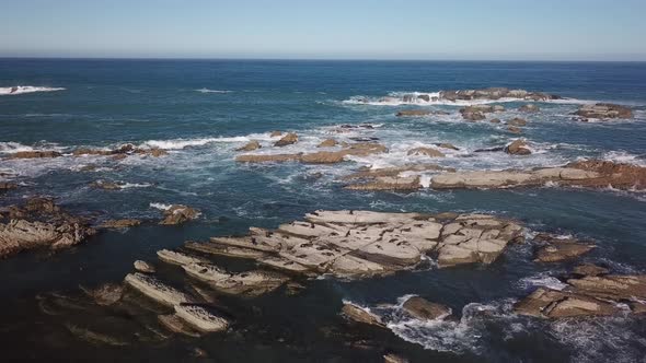 Seals on rocks aerial