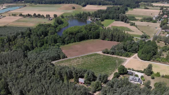 Aerial View Around the Village in the Black Forest on a Sunny Day in Summer.