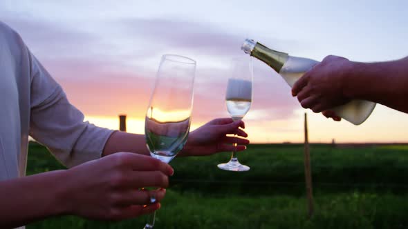 Close-up of couple having champagne in field