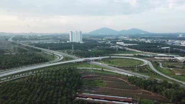 Fly above oil palm estate beside highway