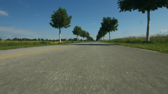 Driving Along Road, Low Perspective