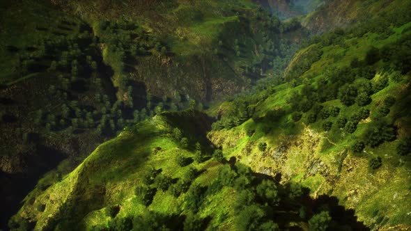 Tropical Forest in Morning View of Highland Malaysia