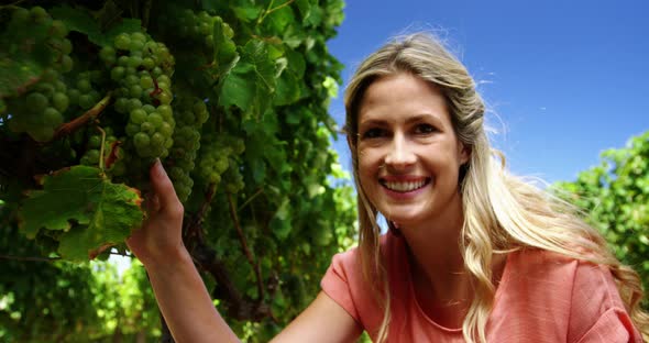 Portrait of happy woman examining grapes in vineyard