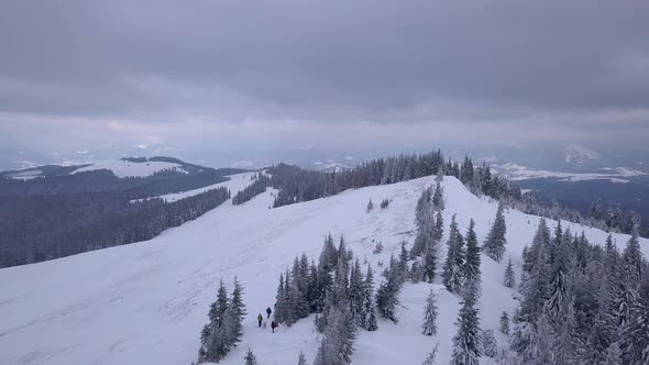 Flying Over Winter Carpathian Mountains