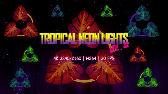 Tropical Neon Lights Vol. 02 4K VJ Loop