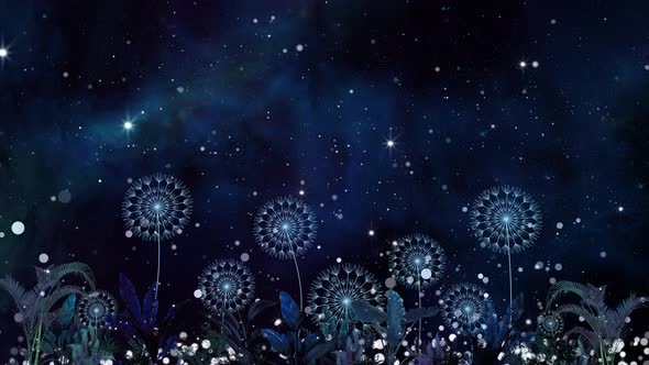 Night Sky Universe Particle Background