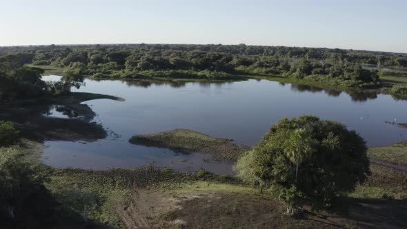 Aerial of a lake in wild Pantanal