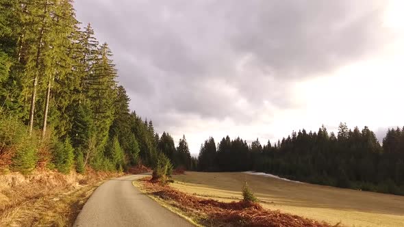 Mountain road forest