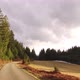 Mountain road forest - VideoHive Item for Sale