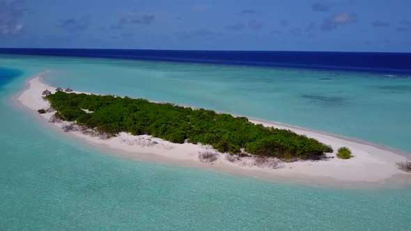 Drone aerial tourism of shore beach journey by clear water and sand background