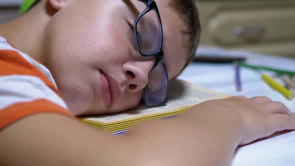 Inquisitive Boy with Glasses Fell Asleep on Book Read on Table