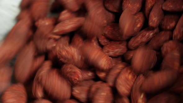 Almond in Chocolate Production of Nuts in Dark or Milk Chocolate