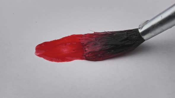 Brush With Red Paint Draws a Line on White Paper in Macro