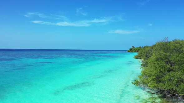 Aerial drone landscape of idyllic coast beach wildlife by shallow ocean and white sand background of