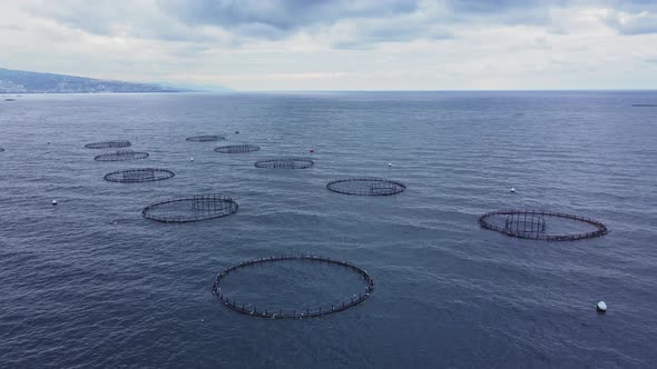 Fish farm with lots of fish enclosures in sea. Fish hatchery