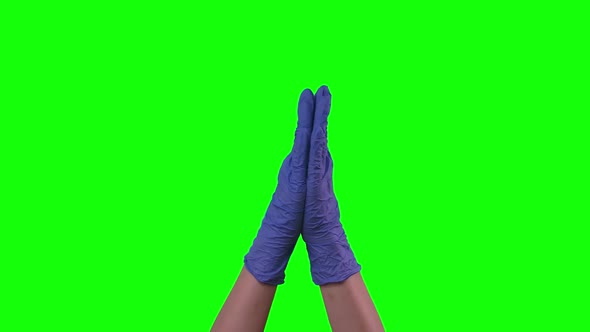 Doctors Female Hands in Blue Gloves Are Clapping, Green Screen