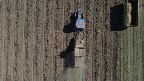 Aerial View of Tractor Harvesting Peanuts