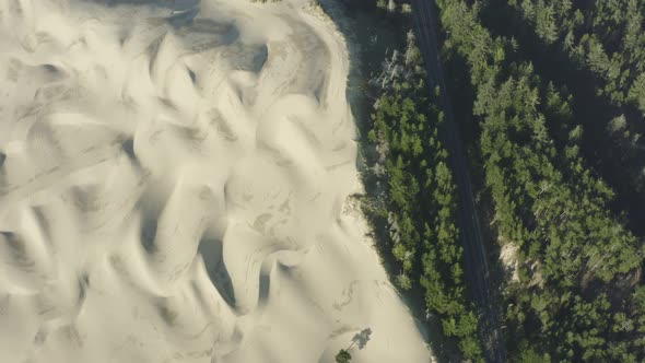 Aerial looking downwards at dense evergreen forest and road surrounded by trees, with sand dunes on