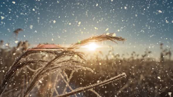 Bright Sunny Landscape with Snow Falling Snow and a Small House in the Forest Cinemagraph Video Loop