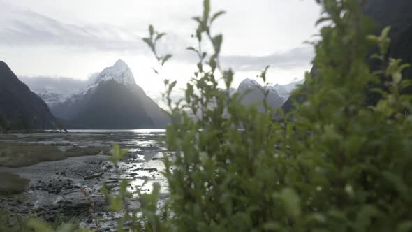 Slow motion reveal shot of Milford Sound, New Zealand, on a sunny afternoon