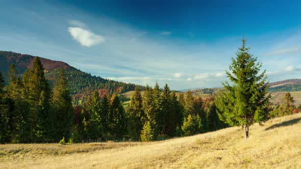 Carpathians Ukraine