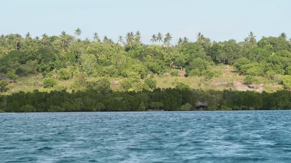 View of Unspoiled Coast of Zanzibar with Forest Palms Coral Reefs and Ocean