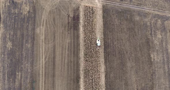 Bird's Eye View Of Combine Harvester In The Corn Field - aerial drone shot