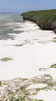 Vertical Video of Low Tide in the Ocean Near the Coast of Zanzibar Tanzania